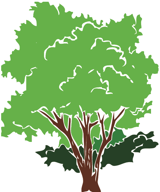 Plantenkwekerij Haaren